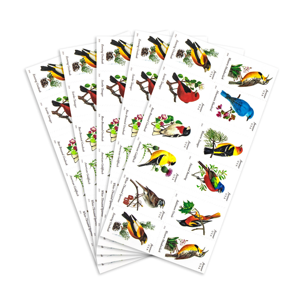 2014 Imperforate Songbirds Forever First Class Postage Stamps Foreverstamp
