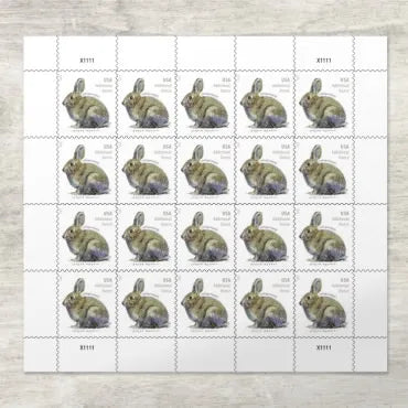 2021 Brush Rabbit Forever First Class Postage Stamps Foreverstamp