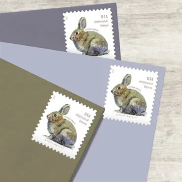 2021 Brush Rabbit Forever First Class Postage Stamps Foreverstamp