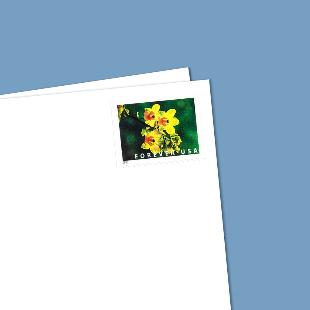 2020 Wild Orchids Forever First Class Postage Stamps Foreverstamp