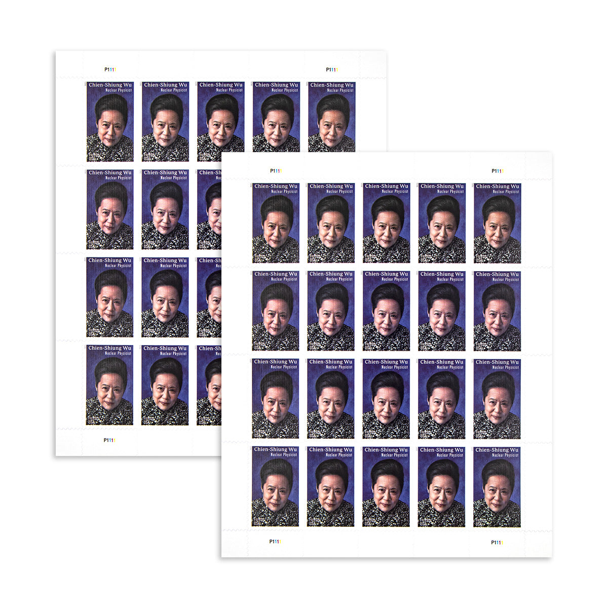 2021 Nuclear Physicist Chien-Shiung Wu  Forever First Class Postage Stamps Stamp Online Store