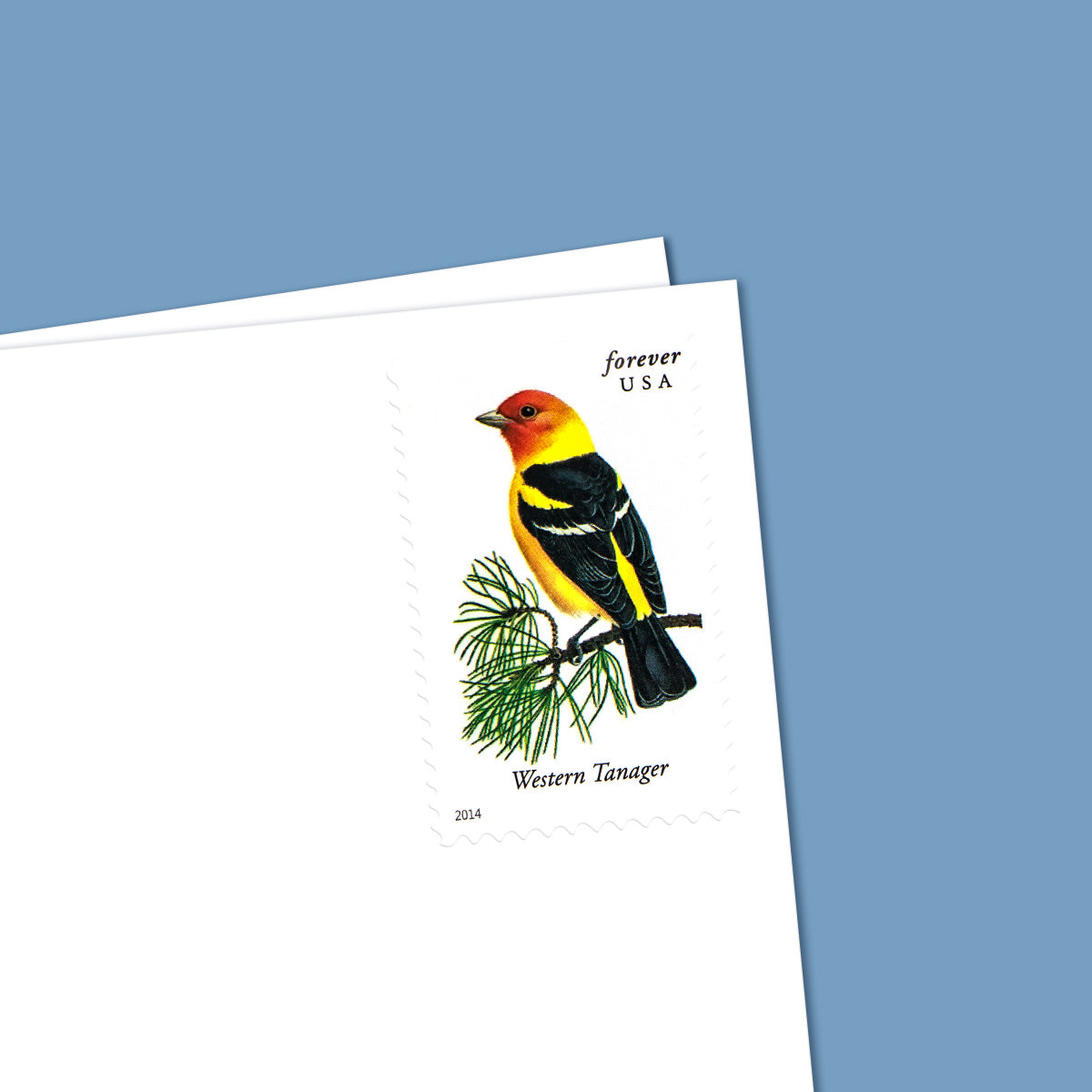 2014 Imperforate Songbirds Forever First Class Postage Stamps Foreverstamp