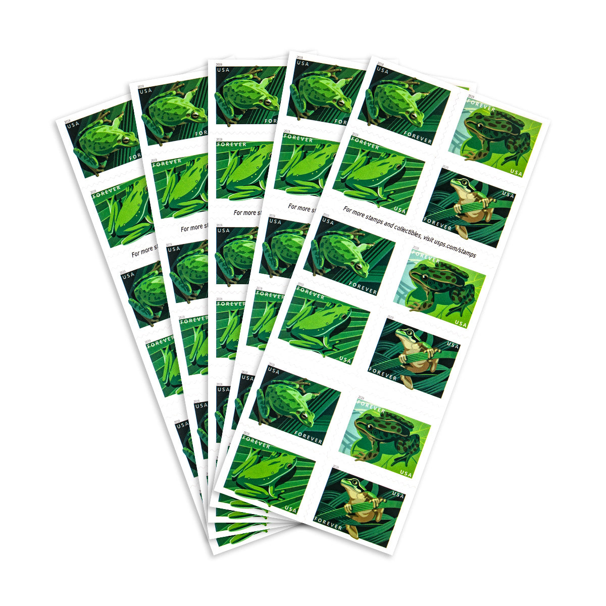 2019 Frogs Forever First Class Postage Stamps Foreverstamp