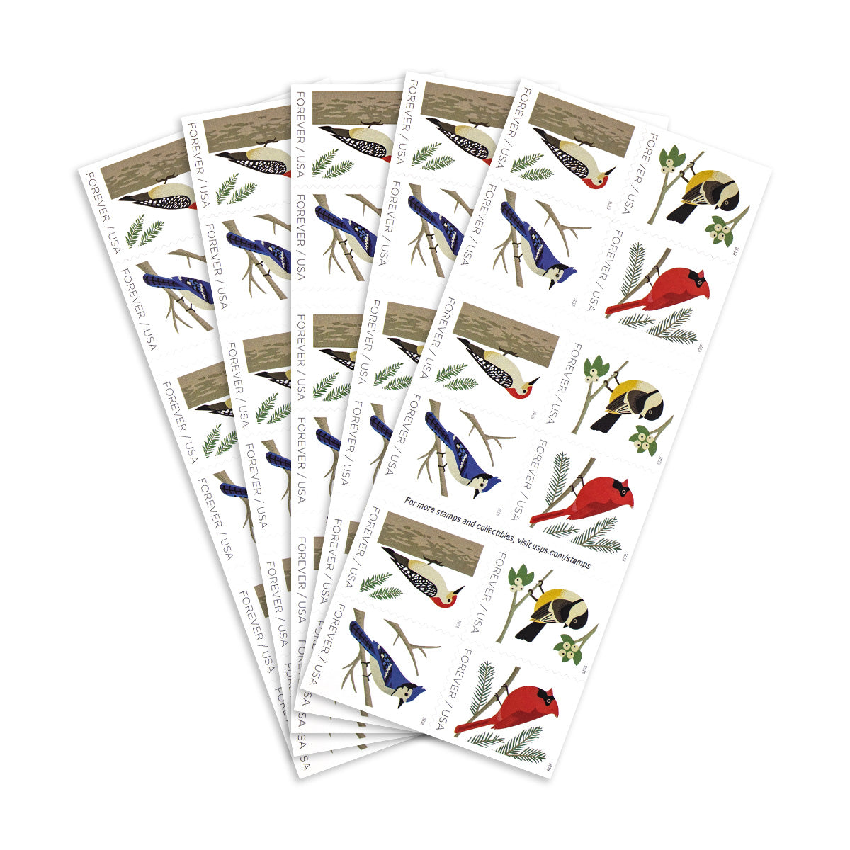2018 Birds in Winter Forever First Class Postage Stamps Foreverstamp