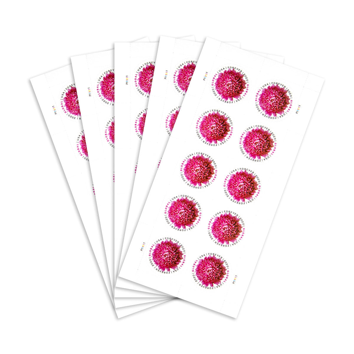 2020 Global Chrysanthemum International  First Class Forever US Postage Stamps Foreverstamp