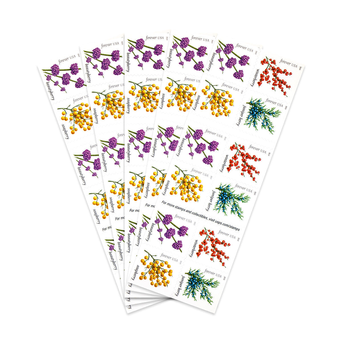 2019 Winter Berries Forever First Class Postage Stamps Foreverstamp