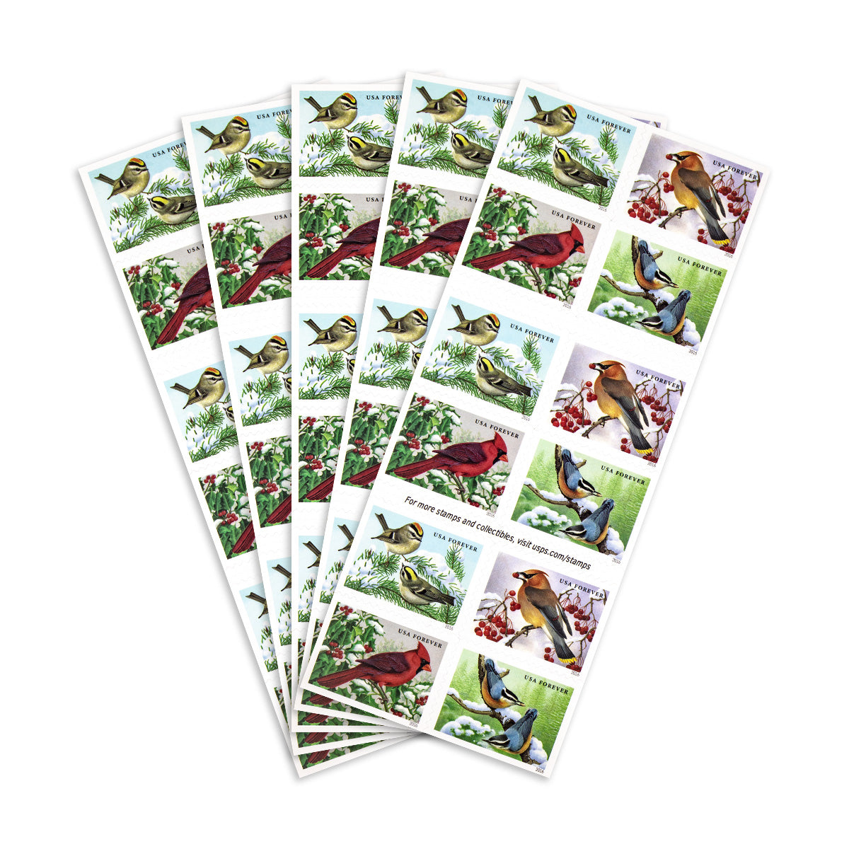 2016 Songbirds in Snow Forever First Class Postage Stamps Foreverstamp
