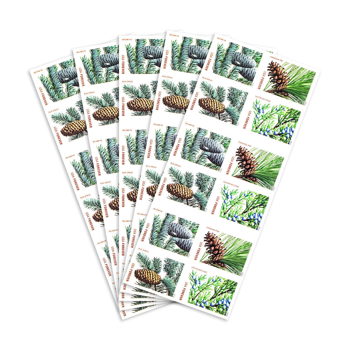 2010 Holiday Evergreens Forever First Class Postage Stamps Foreverstamp