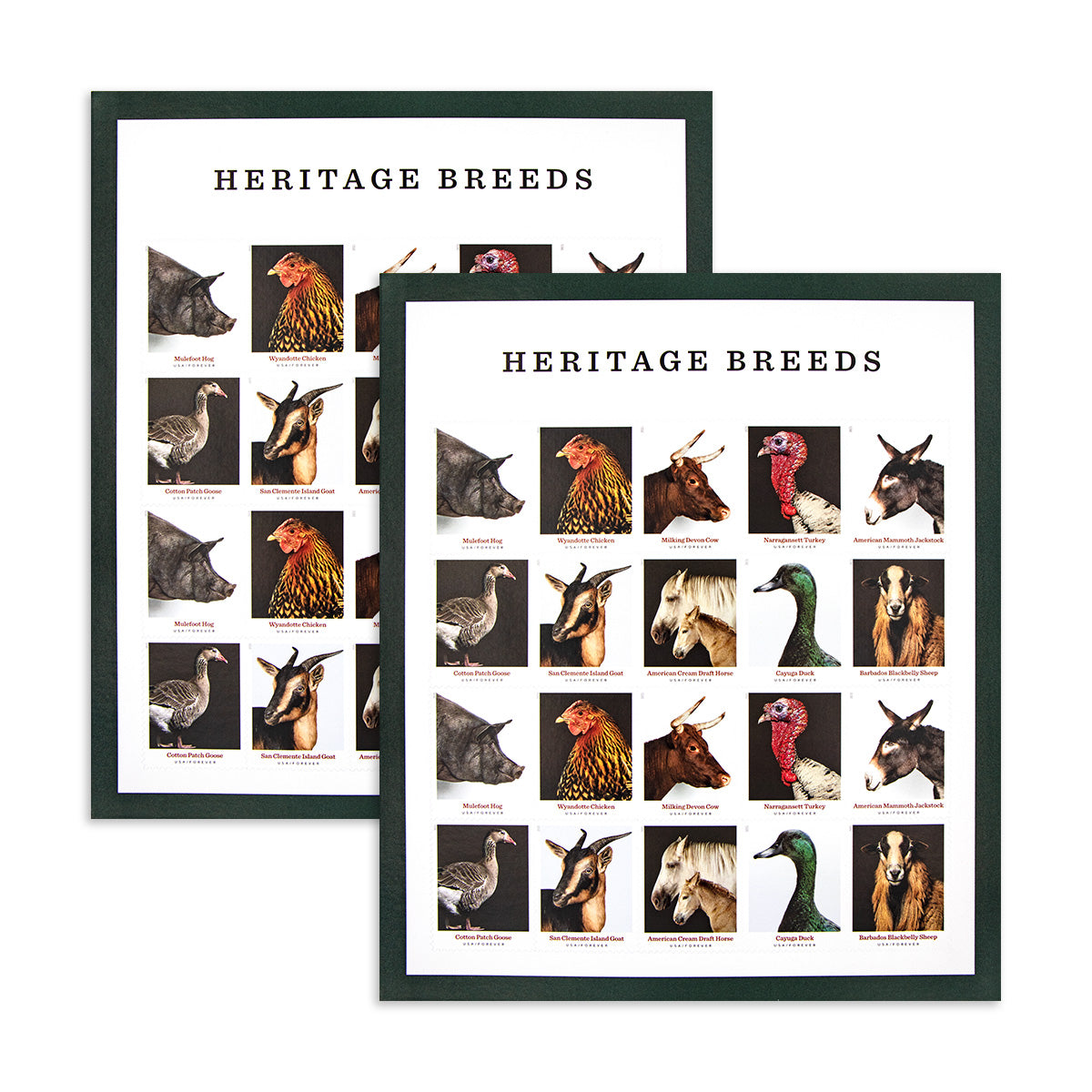 2021 Heritage Breeds Forever First Class Postage Stamps Foreverstamp