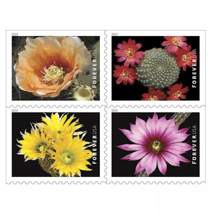2019 Cactus Flowers Forever First Class Postage Stamps Foreverstamp