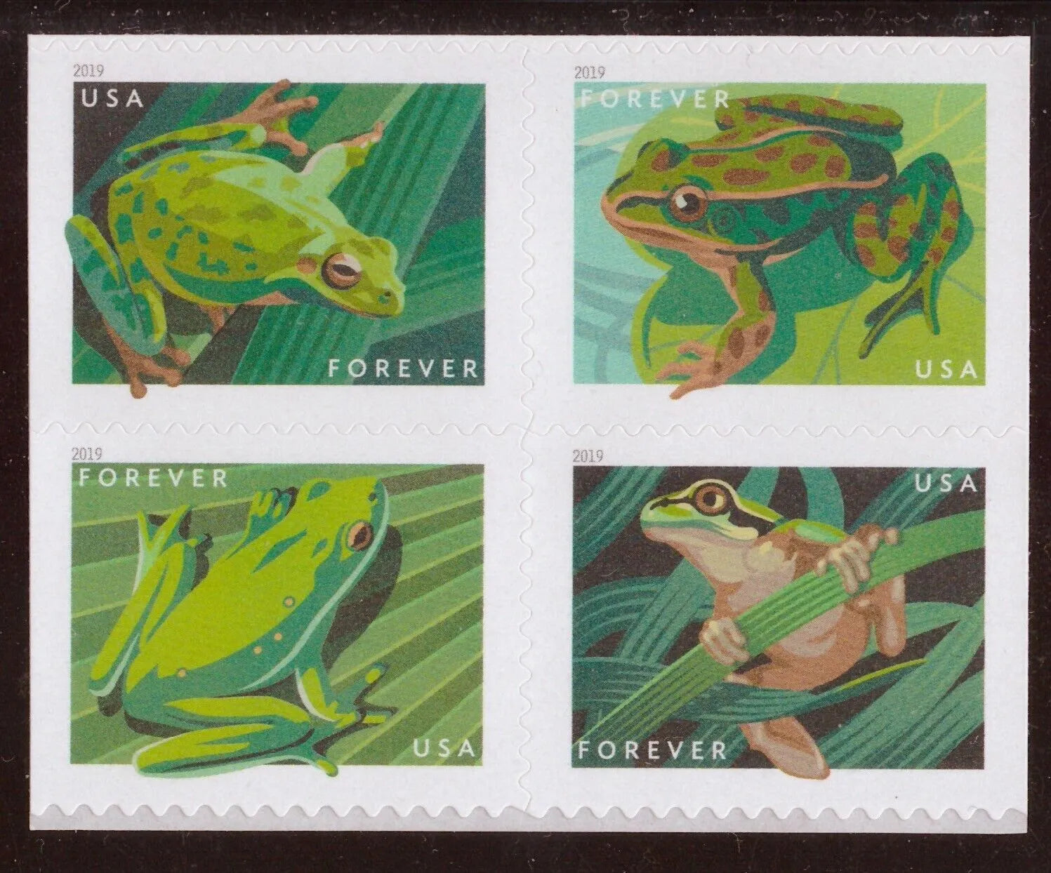 2019 Frogs Forever First Class Postage Stamps Foreverstamp